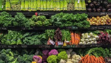 View of well ordered vegetables for sale in a supermarket