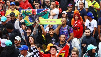 Fans show their support for Lewis Hamilton of Great Britain and Mercedes after the F1 Grand Prix of Brazil.